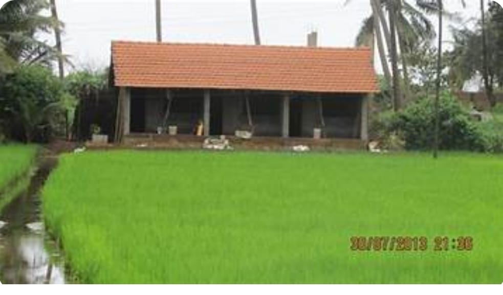 whatsapp image 2026 01 28 at 12.12.37 pm (1)