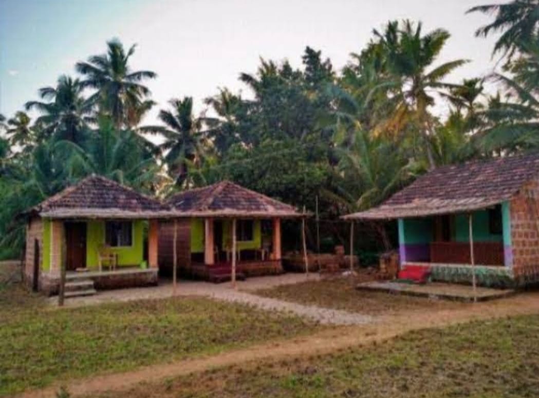 whatsapp image 2026 01 29 at 10.50.52 pm