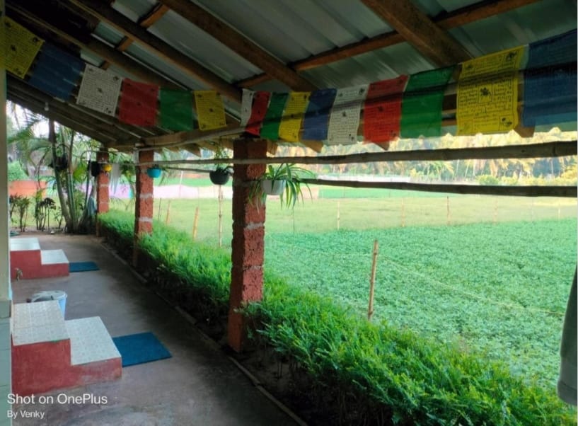 whatsapp image 2026 01 29 at 10.50.54 pm (1)