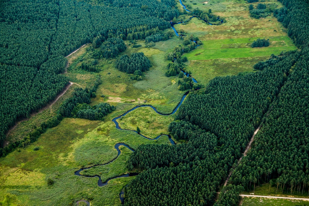 river, landscape, nature, green, poland, ribbon, forest, aerial photo, flight, green, poland, poland, poland, poland, poland, forest
